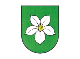 Slika 33